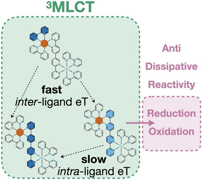 Nature of Anti-Dissipative High-Energy Excited States in Quaterpyridine-Bridged Ruthenium Complexes