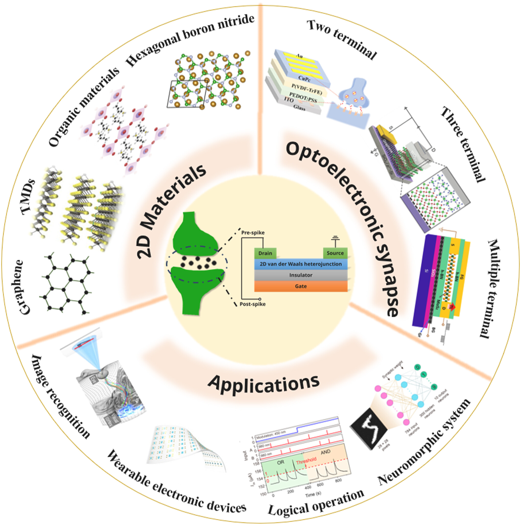 Research progress and applications of optoelectronic synaptic devices based on 2D materials