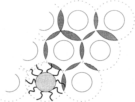 Topochemical Aspects of the Formation of Networks in Layered Langmuir–Blodgett (LB) Assemblies