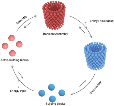 Out-of-equilibrium supramolecular self-assembling systems driven by chemical fuel