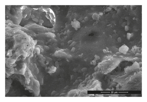 Details are in the caption following the image