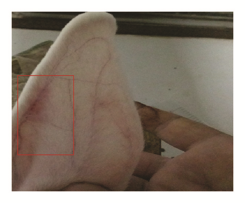 Details are in the caption following the image