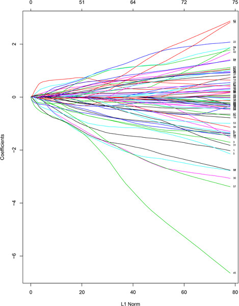 A six-microRNA risk score model predicts prognosis in esophageal squamous cell carcinoma