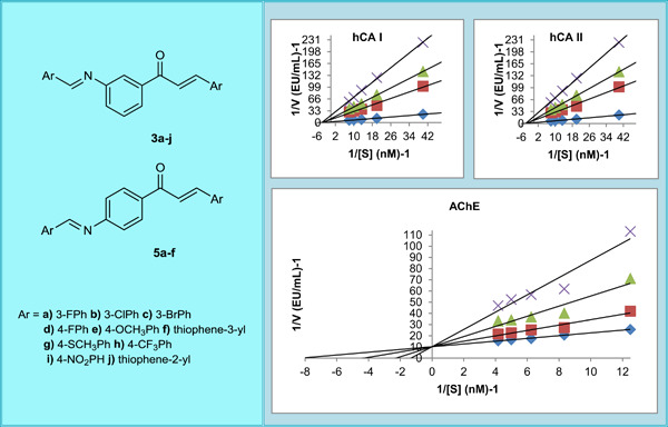 Synthesis, characterization, and biological studies of chalcone derivatives containing Schiff bases: Synthetic derivatives for the treatment of epilepsy and Alzheimer's disease