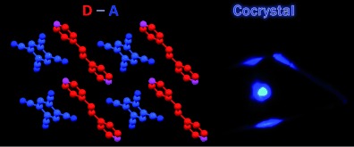 Revealing the Charge-Transfer Interactions in Self-Assembled Organic Cocrystals: Two-Dimensional Photonic Applications