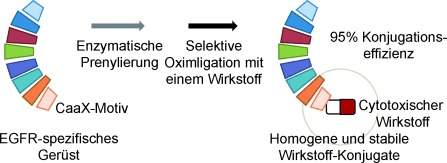 Enzymatic Prenylation and Oxime Ligation for the Synthesis of Stable and Homogeneous Protein–Drug Conjugates for Targeted Therapy