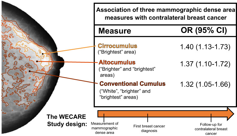 Association of contralateral breast cancer risk with mammographic density defined at higher-than-conventional intensity thresholds