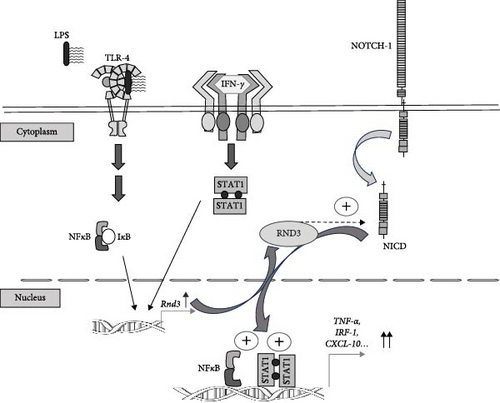 Details are in the caption following the image
