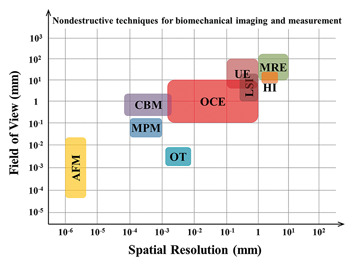 Optical coherence elastography for tissue characterization: a review