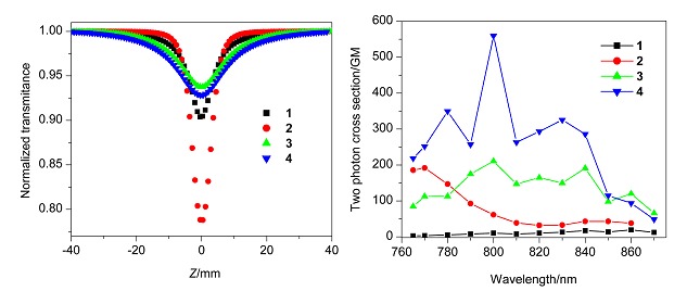 Study of Linear and Nonlinear Optical Properties of Four Derivatives of Substituted Aryl Hydrazones of 1,8-Naphthalimide