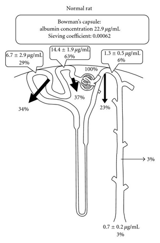 Details are in the caption following the image