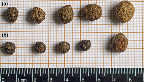 Details are in the caption following the image Details are in the caption following the image