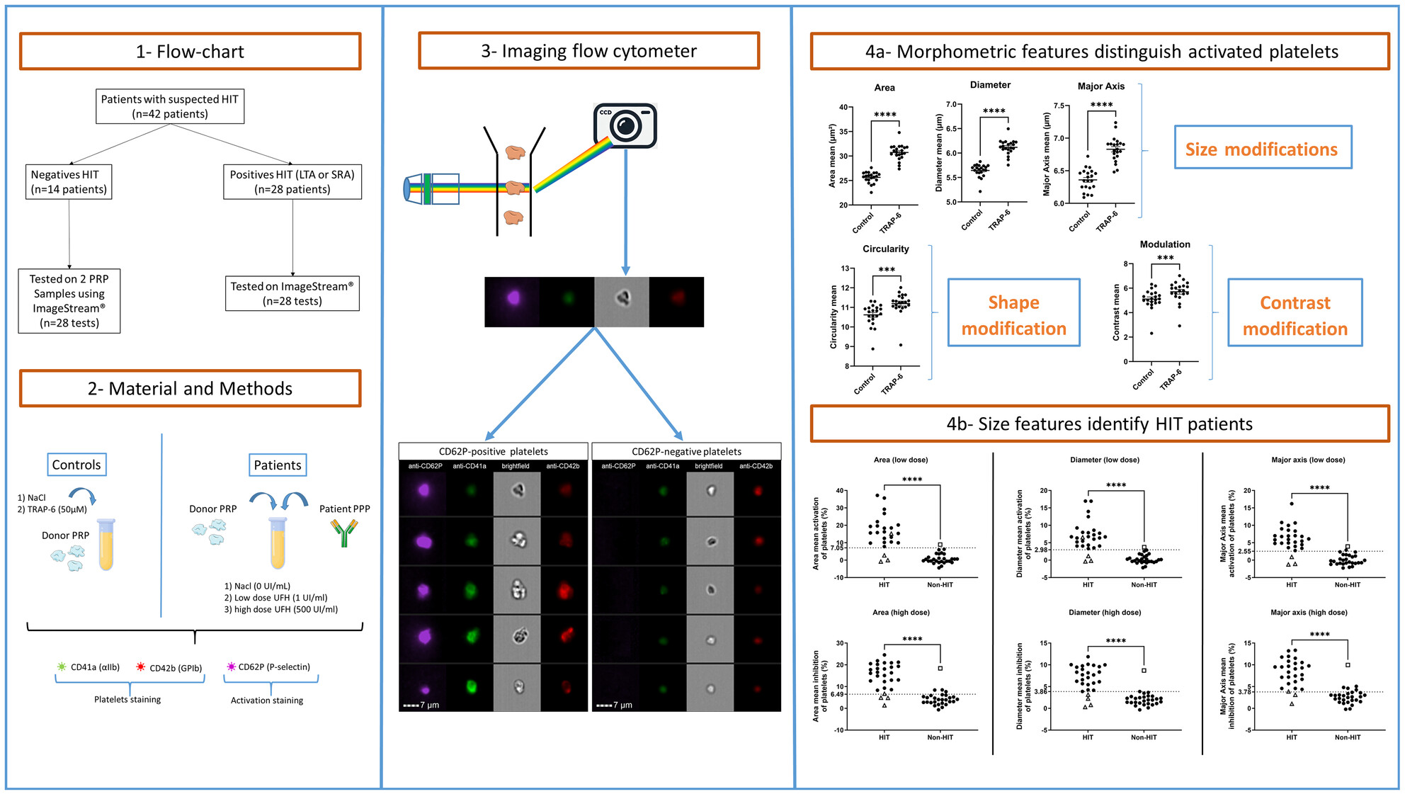 Imaging flow cytometry as a novel approach for the diagnosis of heparin-induced thrombocytopenia