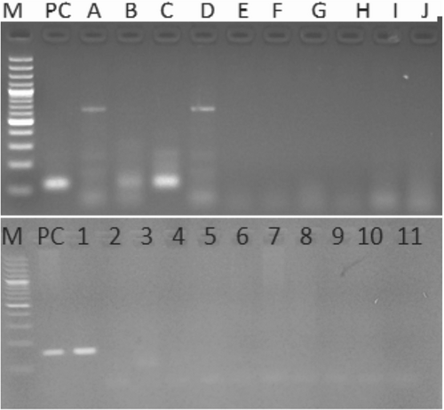 Details are in the caption following the image