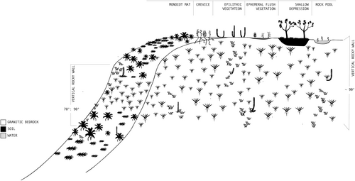 Details are in the caption following the image