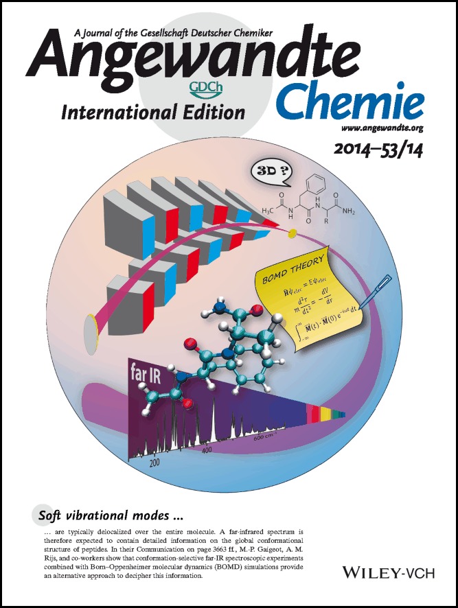 Back Cover: Gas-Phase Peptide Structures Unraveled by Far-IR Spectroscopy: Combining IR-UV Ion-Dip Experiments with Born–Oppenheimer Molecular Dynamics Simulations (Angew. Chem. Int. Ed. 14/2014)