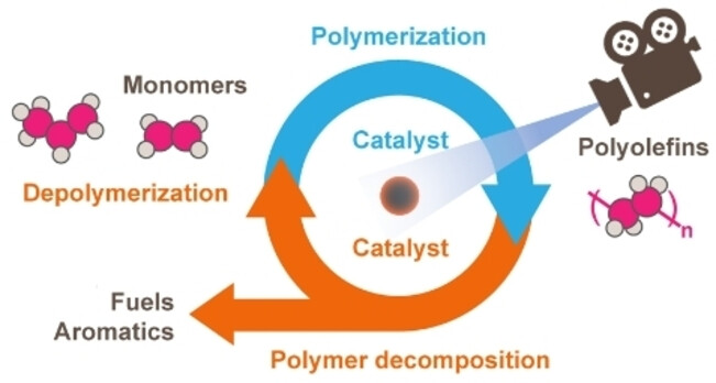 Visualizing the Structure, Composition and Activity of Single Catalyst Particles for Olefin Polymerization and Polyolefin Decomposition