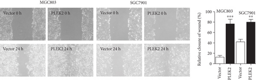 Details are in the caption following the image