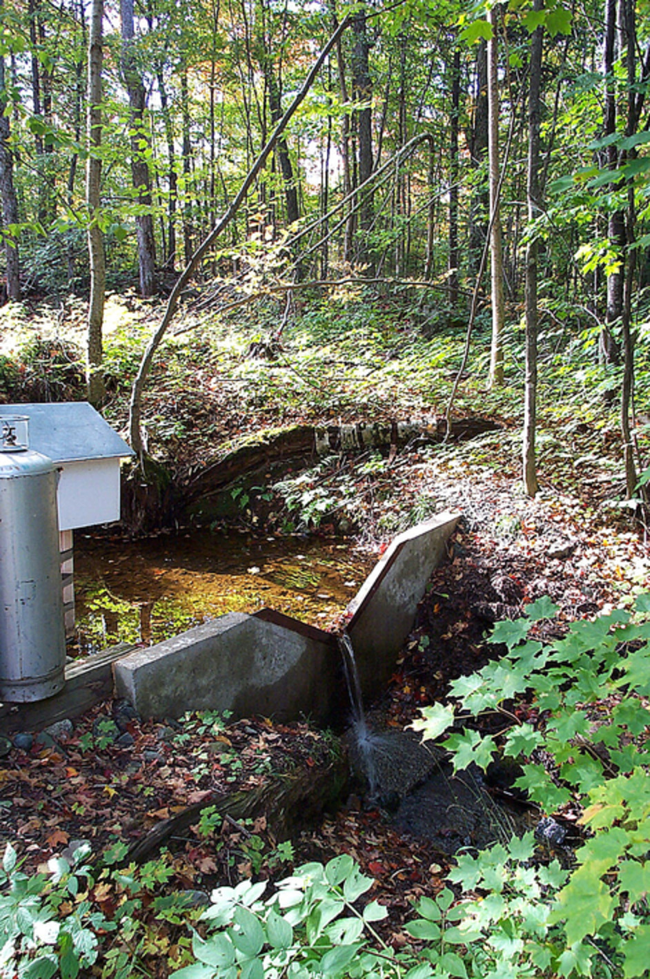 Travel times for snowmelt-dominated headwater catchments: Influences of wetlands and forest harvesting, and linkages to stream water quality