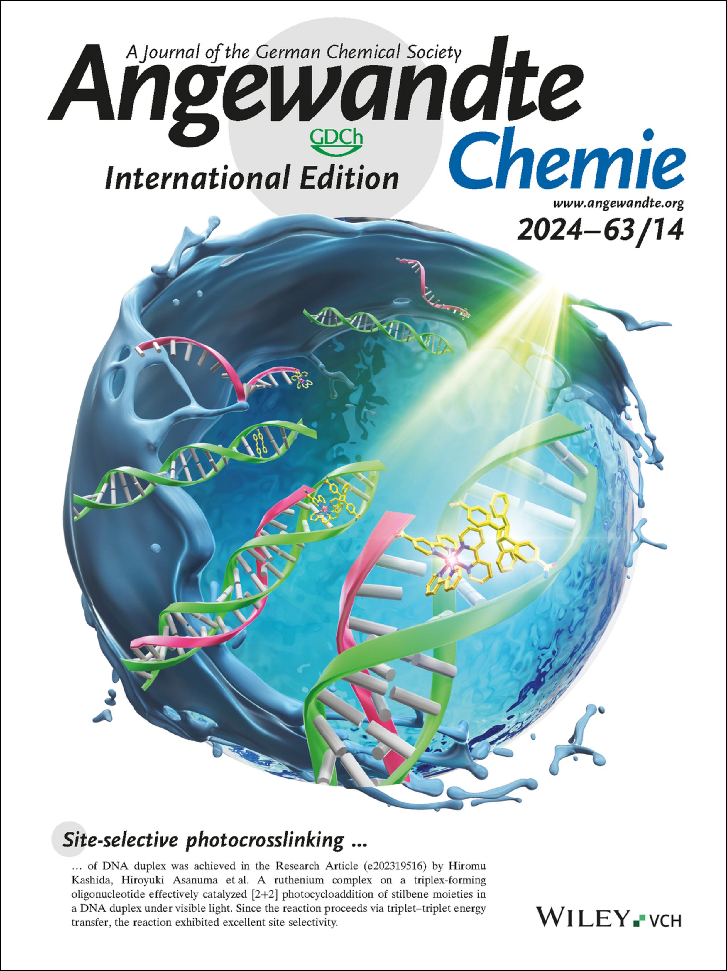 Inside Back Cover: Site-Selective Photo-Crosslinking of Stilbene Pairs in a DNA Duplex Mediated by Ruthenium Photocatalyst (Angew. Chem. Int. Ed. 14/2024) Volume 63 Issue 14, 2024