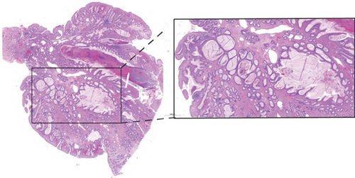 Details are in the caption following the image Details are in the caption following the image