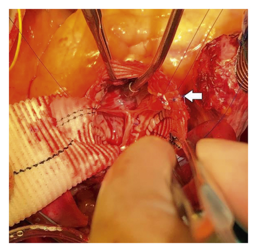 Details are in the caption following the image Details are in the caption following the image