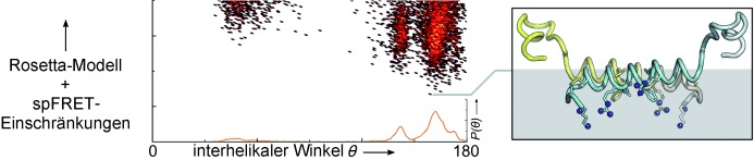 A Membrane-Bound Antiparallel Dimer of Rat Islet Amyloid Polypeptide