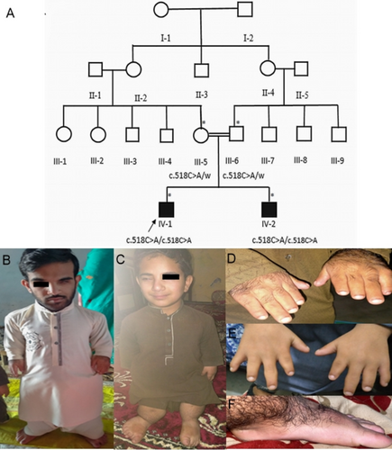 Details are in the caption following the image Details are in the caption following the image