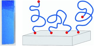 Covalent Layer-by-Layer Assembly and Solvent Memory of Multilayer Films from Homobifunctional Poly(dimethylsiloxane)