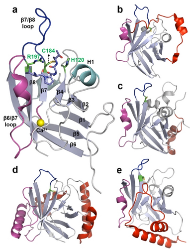 Details are in the caption following the image