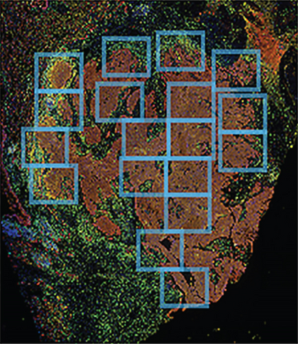 Details are in the caption following the image Details are in the caption following the image