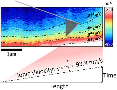 Spatial-Temporal Scanning Kelvin Probe Microscopy for Evaluating Ionic Velocity in Solid-State Electrolytes