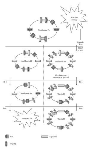 Details are in the caption following the image