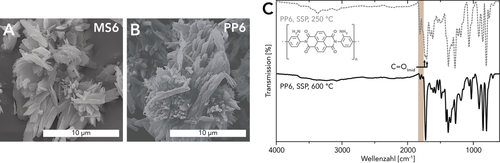 Details are in the caption following the image Details are in the caption following the image