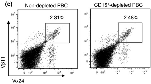 Invariant NKT cells are resistant to circulating CD15+ myeloid-derived suppressor cells in patients with head and neck cancer