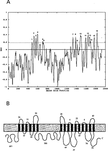 Details are in the caption following the image