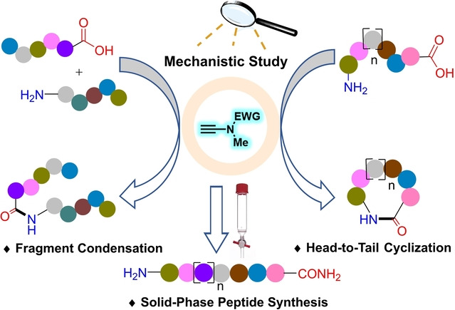 Ynamide-Mediated Peptide Bond Formation: Mechanistic Study and Synthetic Applications