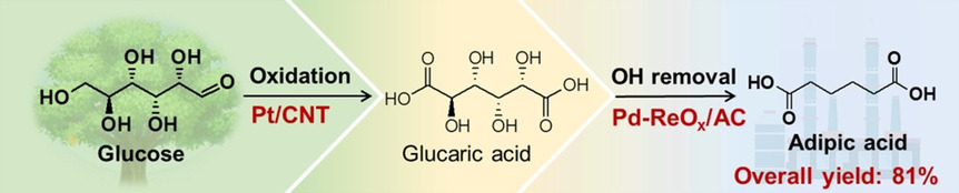 Efficient Catalysts for the Green Synthesis of Adipic Acid from Biomass