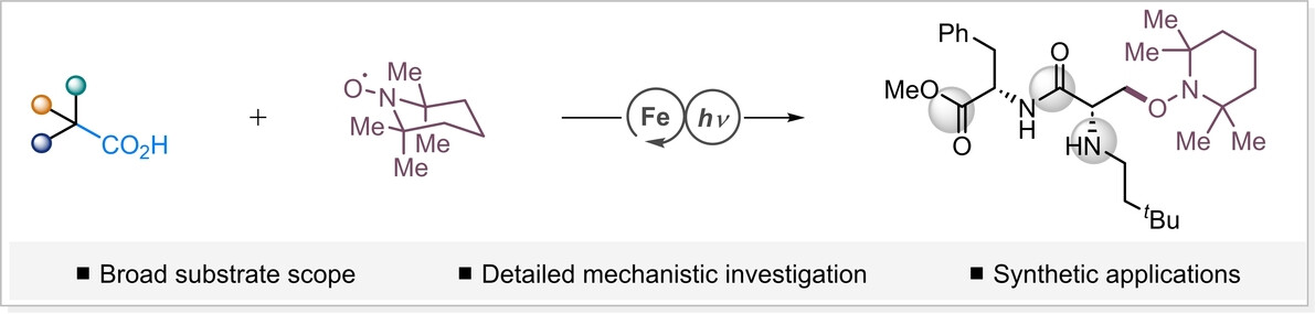 A General Iron-Catalyzed Decarboxylative Oxygenation of Aliphatic Carboxylic Acids
