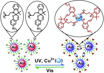 Resettable, Multi-Readout Logic Gates Based on Controllably Reversible Aggregation of Gold Nanoparticles
