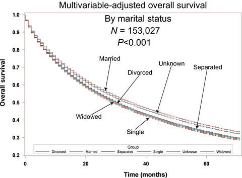 Population-based differences in the outcome and presentation of lung cancer patients based upon racial, histologic, and economic factors in all lung patients and those with metastatic disease