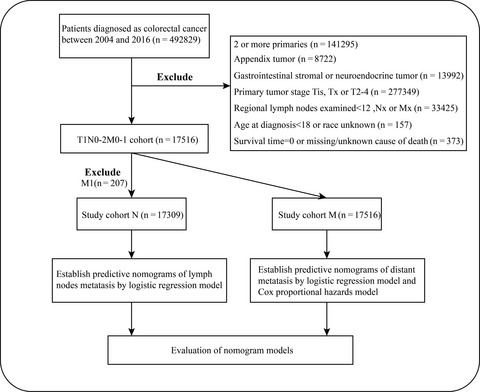 Risk factors and predictors of lymph nodes metastasis and distant metastasis in newly diagnosed T1 colorectal cancer