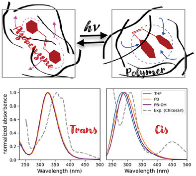 Mechanical Effect Produced by Photo-Switchable Reactions: Insights from Molecular Simulations