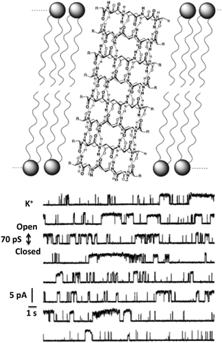 Details are in the caption following the image Details are in the caption following the image