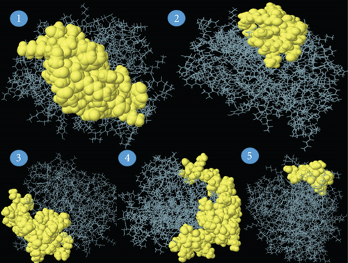 Details are in the caption following the image Details are in the caption following the image