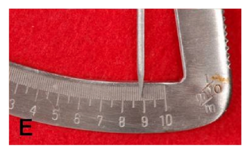 Details are in the caption following the image