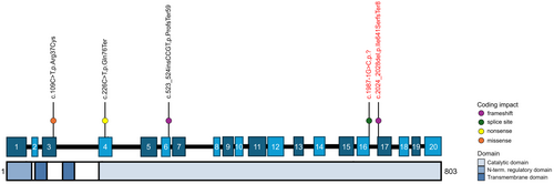 Details are in the caption following the image Details are in the caption following the image