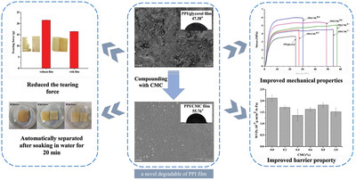 Quality Improvement of Pea Protein Isolate-Based Film: Effect of Sodium Carboxymethyl Cellulose on Film