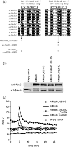 Details are in the caption following the image