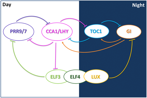 Details are in the caption following the image Details are in the caption following the image